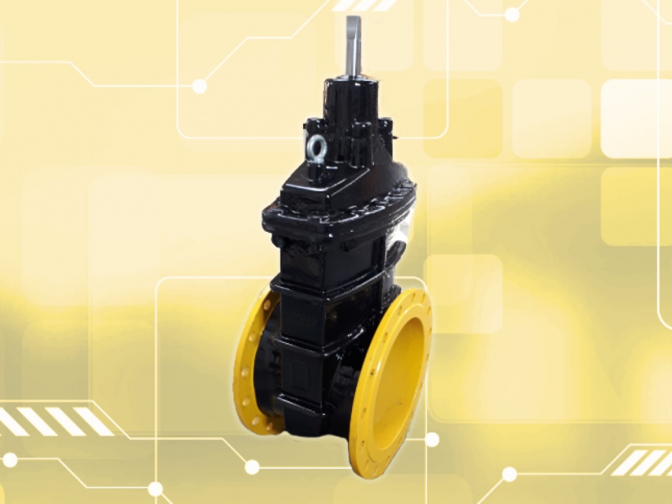 Aeon flanged gas gate valves now available with PUR coating